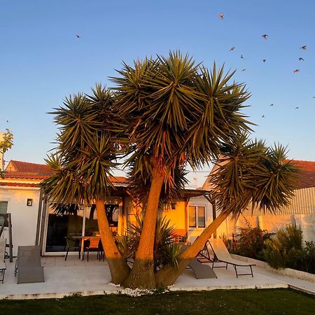 Casa Do Vale Villa Vale de Água Екстериор снимка